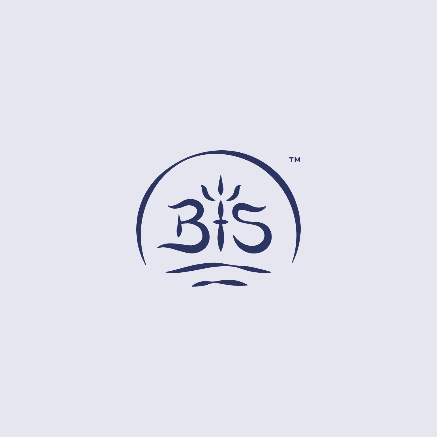 bns-logo